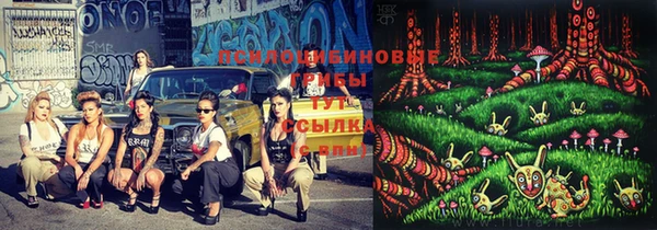 МДПВ Баксан